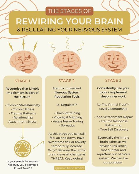 Primal Trust™ - Dr. Cathleen King (@primaltrust_official) • Instagram photos and videos Retrain Your Brain, Regulate Your Nervous System, Light And Living, Brain And Nervous System, Go Gently, Keep On Going, Mental Health Activities, Feeling Safe, Limbic System