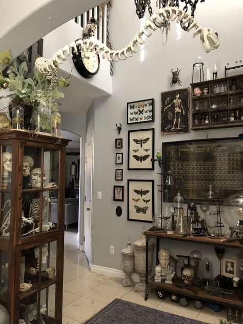 Wall Of Shelves Ideas, Witchcore Home Aesthetic, Apothecary House Decor, Gothic Cottagecore Living Room, Oddities Living Room, Spooky Studio Apartment, Industrial Floral Decor, Oddities Home Decor, Dark Home Esthetics