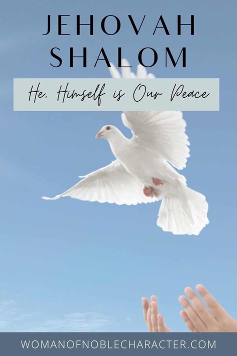 Jehovah sends peace, the name Gideon gave to the altar he erected on the spot at Ophrah where the angel appeared to him. Jehovah-Shalom is translated as “peace” 170 times in the Bible. It means “whole,” “finished,” “fulfilled,” or “perfected” and is really a title rather than a name of God. Learn more about what Jehovah Shalom means and the attributes it represents. #shalom #biblestudy #biblestudies #christianity #womanofnoblecharacter Jehovah Shalom, God Of Peace, Questions To Ponder, Name Of God, Beautiful Name, Proverbs 31 Woman, Names Of God, Proverbs 31, The Angel