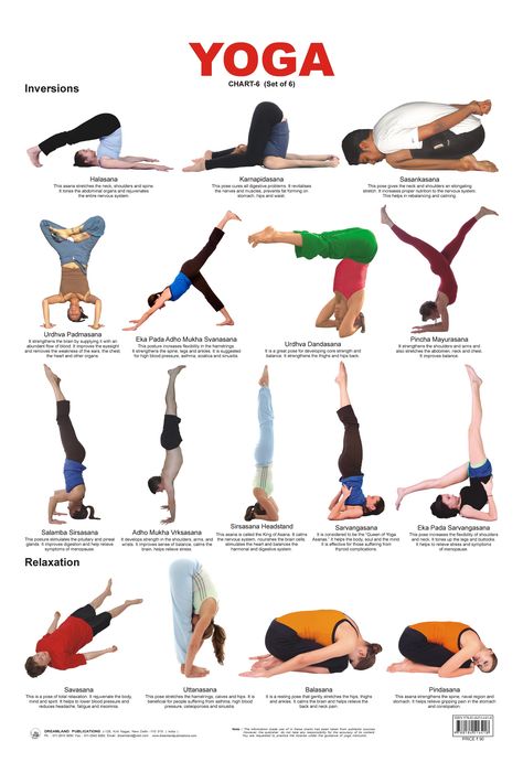 Inversions and Relaxation Chart Yoga Chart, Hata Yoga, Yoga Poses Chart, Jnana Yoga, Yoga Inversions, Yoga Handstand, Basic Yoga Poses, Latihan Yoga, Poses For Beginners