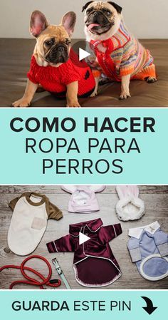 ¿Quieres hacerle una bonita prenda a tu querida mascota? Entonces este tutorial gratuito es perfecto para ti. Aprenderás como hacer un suéter para tu perro de forma muy sencilla y con moldes incluídos. #cursos #costura #patrones #sewing #patterns #manualidades Knitted Dog Sweater Pattern, Dog Clothes Patterns Sewing, Crochet Dog Clothes, Dog Sweater Pattern, Dog Clothes Diy, Crochet Dog Patterns, Puppy Dress, Knit Dog Sweater, Dog Raincoat