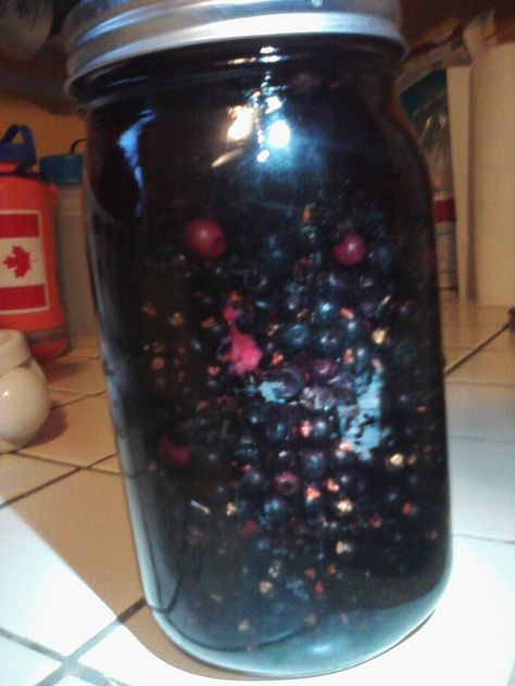 Crowberry Schnapps | Alaska Harvest Rhubarb Liqueur Recipes, Moving To Alaska, Liqueurs Recipes, Berry Picking, Wild Berries, Harvest Recipes, Take A Shot, Wild Berry, Preserving Food