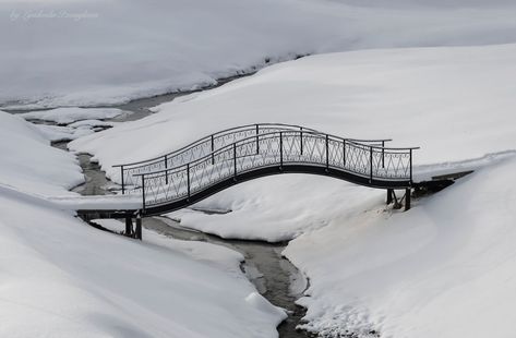 Sergiyev Posad, Moscow Oblast, Russia Middleton Place, Whitby Abbey, Moomin Valley, Dark Tree, Mountain Valley, Snowy Mountain, I Love Winter, Over The River, Snowy Mountains