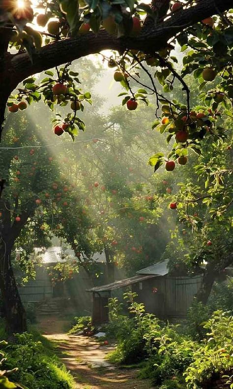 Lansdowne Uttarakhand, Jim Corbett National Park, Jim Corbett, Beach Retreat, Remote Island, Green Valley, Hill Station, Scenic Beauty, Pine Forest