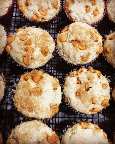 Butterscotch Muffins – Penny's Food Blog Butterscotch Chip Muffins, Butterscotch Muffins, Pecan Muffins Recipe, Pecan Muffins, Butterscotch Cake, Applesauce Muffins, Bakery Style Muffins, Donut Muffins, Cake Mix Cookie Recipes