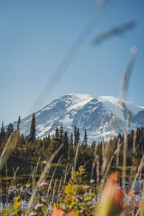 Mt. Rainier in Washington state. Snow capped mountain framed by colorful wild flowers and evergreen trees. Mount Rainier Wallpaper, Mt Rainier Aesthetic, Washington State Mountains, Pnw Photography, Mt Joy, Mt Rainier National Park, Mount Rainier National Park, Mt Rainier, National Mall