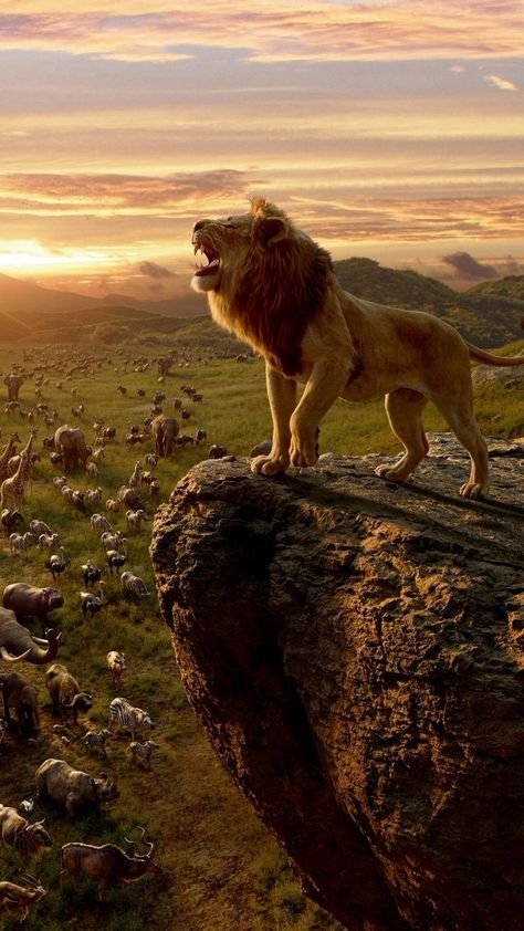 King Wallpaper, Wildlife Wallpaper, Forest Book, Lion King Movie, Il Re Leone, Lion Wallpaper, Lion King Art, Lion Images, Lion Pictures