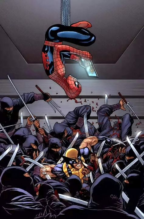 Wolverine Comic, Frank Cho, Aw Yeah, Spiderman Artwork, Spiderman Pictures, Wolverine Marvel, Marvel Comics Wallpaper, Marvel Spiderman Art, Superhero Wallpaper