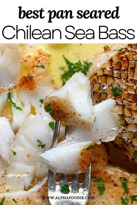 Seared Sea Bass Recipes, Pan Seared Sea Bass Recipes, White Sea Bass Recipe, Seabass Recipe Pan Seared, Sea Bass Recipes Pan Seared, Sea Bass Recipes Baked, Pan Seared Chilean Sea Bass Recipe, Chilean Sea Bass Recipe Baked, Chilean Sea Bass Recipe Pan Seared