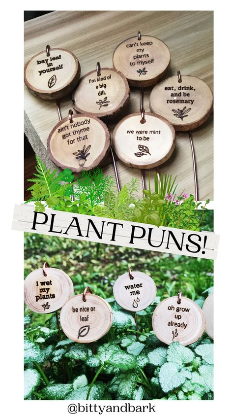 Cricut Garden Markers, Plant Markers Diy, Diy Plant Markers, Herb Puns, Garden Signage, Garden Markers Diy, Garden Puns, Garden Plant Markers, Hilarious Sayings