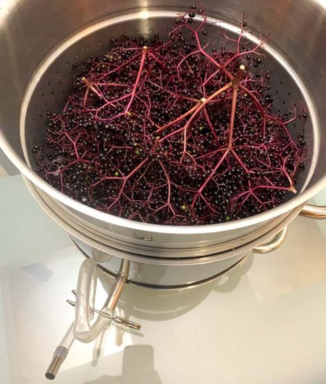 Elderberry Juice Canning, Canning Elderberry Juice, How To Make Elderberry Juice, How To Process Elderberries, Elderberry Pancake Syrup Recipe, Steam Juicer Recipes, Elderberries Recipes, Elderberry Syrup Uses, Steam Juicer