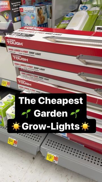 Gary Pilarchik (TRG) on Instagram: "*CORRECTION 8$ a YEAR! People asked what lights work… I’ve been using lights like this for 10 years. The white LEDs are for growing garden transplants that will be put outside. You can spend more money on fancier systems but you don’t need to, for basic garden transplants. This is all you need… 🌱 5000 Lumens or higher. 5000 Kelvin or higher. 2 strips of while LEDs per light. Make sure it has a wall plug. ☀️ Follow me in 2023 and I’ll show you how to grow and Inexpensive Grow Lights, Diy Grow Light Shelf, Grow Room Ideas Indoor, Grow Light Set Up, Indoor Grow Light Ideas, Grow Light Ideas, Grow Lights For Houseplants, Grow Lights Diy, Cheap Grow Lights