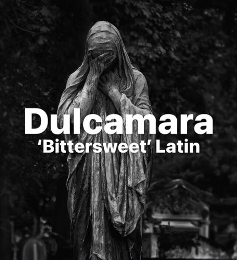 Dark aesthetic girl name Dulcamara. Gothic & dark name. Flower, plant, botanical, nature name. Latin Surnames, Bittersweet Nightshade, Novel Names, Latin Names, Fantasy Names, Aesthetic Names, Name Meaning, Names With Meaning, Make Me Happy