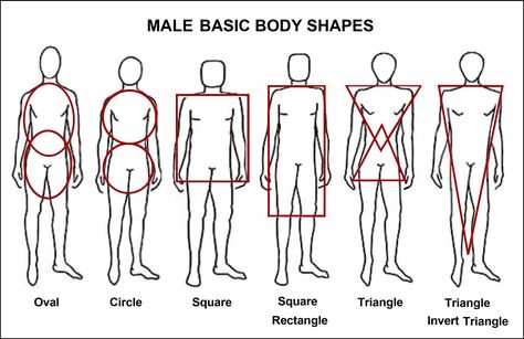 Male body shapes Body Types Description, Male Body Shapes Drawing, Types Of People Chart, Male Body Types Drawing, Body Shapes Drawing, Body Types Men, Body Type Male, Men Body Types, Body Types Male