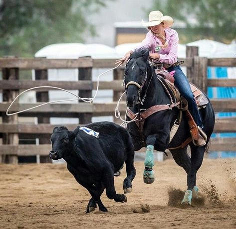 Breakaway Roping, Roping Horse, Horse Boarding, Cowgirl Outfits, Rodeo, Horses, Animals, Art