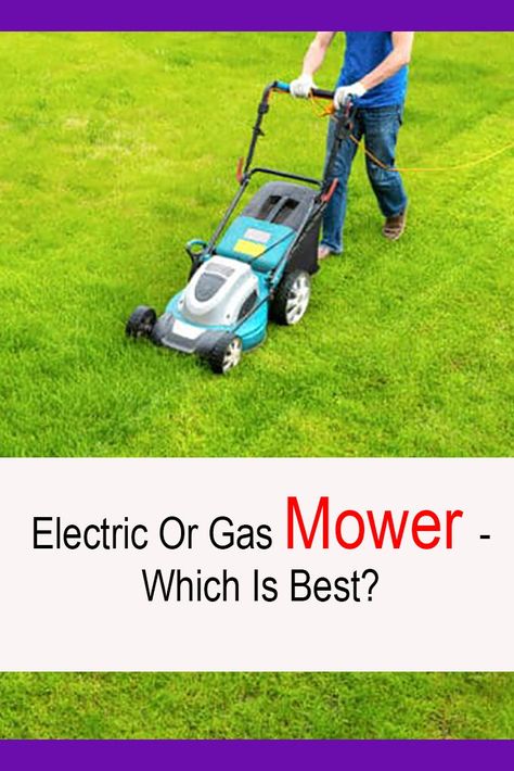 Electric Or Gas Mower - Which Is Best? Common Lawn Weeds, Fall Lawn Care, Electric Mower, Best Lawn Mower, Dogs Playing, Push Lawn Mower, Landscaping Tools, Lawn Mower Blades, Push Mower