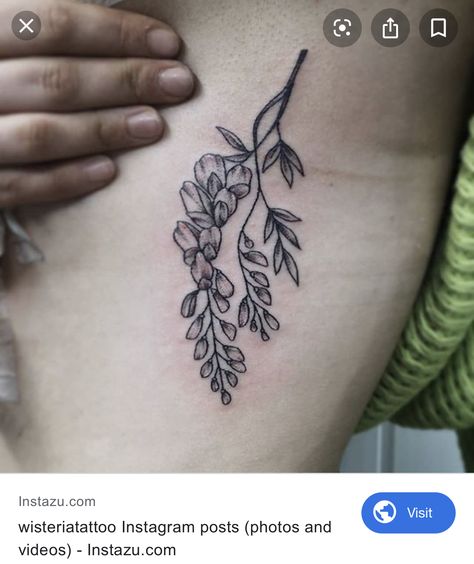 Smaller sized wisteria tattoo; underarm. Wisteria Branch Tattoo, Wisteria Tattoo Black, Wisteria Tattoo Black And White, Wisteria Tattoo Foot, Wisteria Drawing Simple, Wisteria Tattoo Design, Wisteria Vine Tattoo, The Lakes Tattoo, Wisteria Flower Tattoo