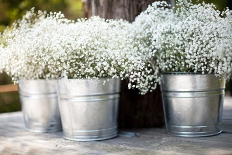 Tin+Buckets+of+Baby's+Breath Summer Party Centerpieces, Tin Buckets, Deco Champetre, Boda Mexicana, Babies Breath, Flower Bucket, Party Centerpieces, Baby's Breath, Trendy Wedding