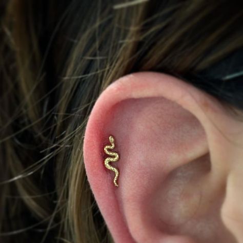 Snake Cartilage Earring, Snake Helix Piercing, Flat Piercing, Snake Bites, Helix Earrings, Snake Earrings, Ear Candy, Helix Piercing, Gold Snake