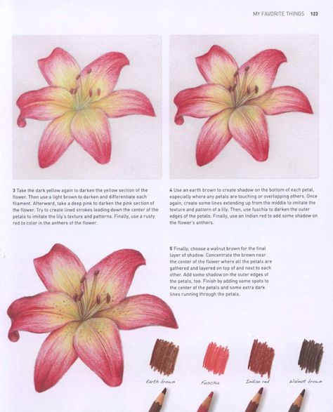 Lily Tutorial Drawing, Coloured Pencil Flowers, Lilies Flowers Drawing, Lillies Drawings, Colored Pencil Flowers, Lily Drawing, Basic Art Techniques, Colored Pencil Art Projects, Lilies Drawing