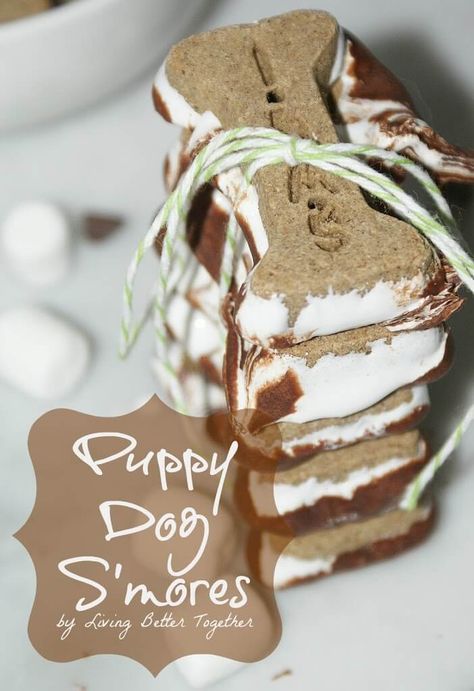 Dog Smores, Homemade Pet Treats, Pet Treats Recipes, Easy Dog Treat Recipes, Dog Biscuit Recipes, Easy Dog Treats, Healthy Dog Treats Homemade, Apple And Peanut Butter, Living Better