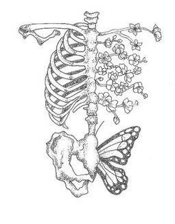 Skeleton butterfly tattoo | Art tutorials drawing, Line art drawings, Skeleton drawings Drawing Ideas, Skeleton, Butterflies, Drawings, Flowers, Art