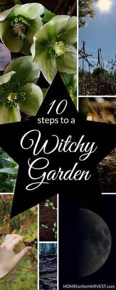 Rare Herbs To Grow, Witchy Kitchen Design, Witch’s Garden, Small Secret Garden Ideas, Witchy Garden Aesthetic, Magical Backyard, Creepy Crafts, Witches Garden, Magical Plants