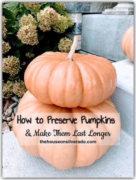 How To Preserve Pumpkins, Preserve Pumpkins, Preserving Pumpkins, Burlap Ribbon Wreaths, Carved Pumpkins, Porch Pumpkins, Beautiful Pumpkins, How To Make Pumpkin, Fall Front Porch