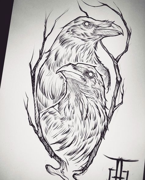 Raven Tattoo Drawing, Raven Tattoo Stencil, Raven Drawing Sketch, Raven Line Art, Crow Drawing Sketch, Raven Outline, Raven Drawings, Odin's Ravens Tattoo, Raven Drawing