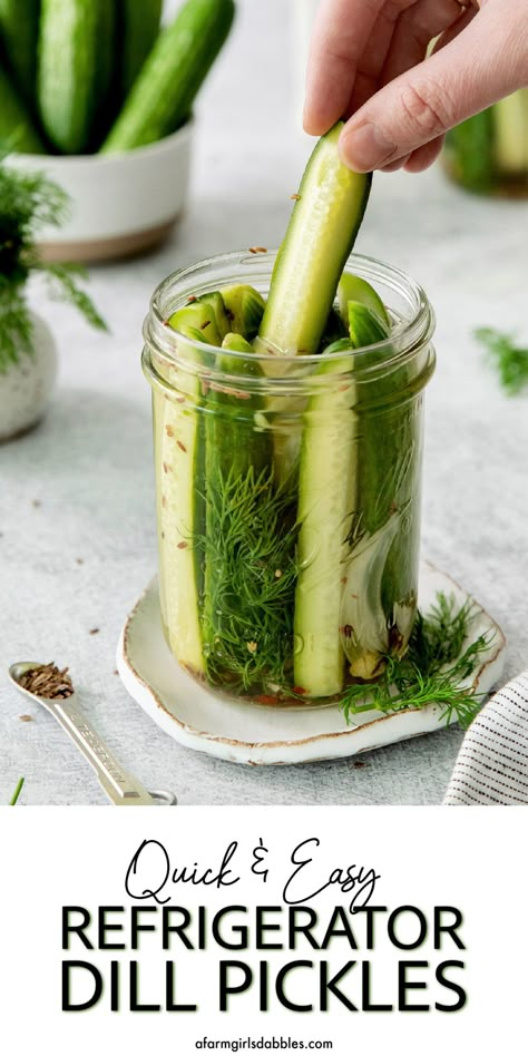 Fresh Pickles, Refrigerator Pickles Dill Seed, Freezer Pickles Recipes Dill, Easy Dill Pickle Recipe Refrigerator, Dill Fridge Pickles, Quick Dill Pickles Refrigerator, Pickles Homemade Easy, Garlic Dill Pickles, Refrigerator Pickles Dill