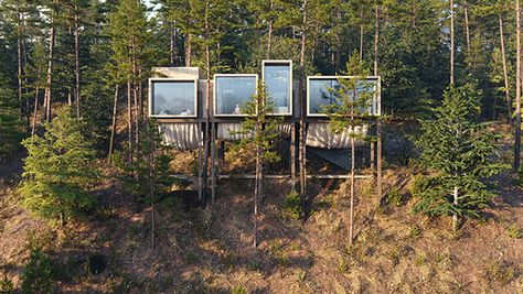 Yoga Architecture, Yoga Web, Yoga House, Cabin Architecture, Pole House, Cool Tree Houses, Forest Cabin, Photography Interior, Contemporary Apartment