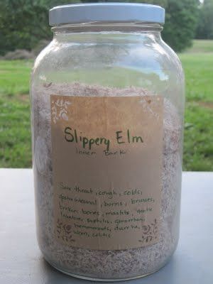 Uses for Slippery Elm.Because Slippery Elm is a mucilage, it creates a film over the digestive tract that soothes the pains of a vast array of GI diseases, such as ulcerative colitis, irritable bowel syndrome and Crohn’s disease. Slippery Elm Bark, Digestive Tract, Slippery Elm, Irritable Bowel, Herbal Healing, Leaky Gut, Herbal Blends, Healing Herbs, Alternative Health