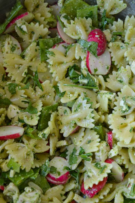 Radish Green Recipes, Cooking With Radishes, Pasta Salad With Radishes, Recipes Using Radishes, Radish Tops Recipes, Radish Greens Recipes, Raddish Meals, Radish Pasta, Radish Pesto