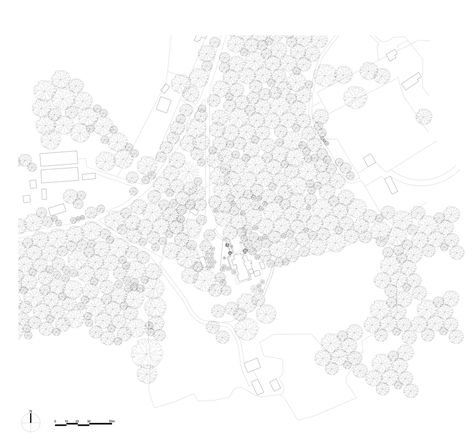 Forest House - WEST ST STUDIO Forest Site Plan Architecture, Extensive Green Roof, Brick Works, New Staircase, Cedar Shingles, Single Bedroom, Boot Room, Forest Floor, Ground Floor Plan