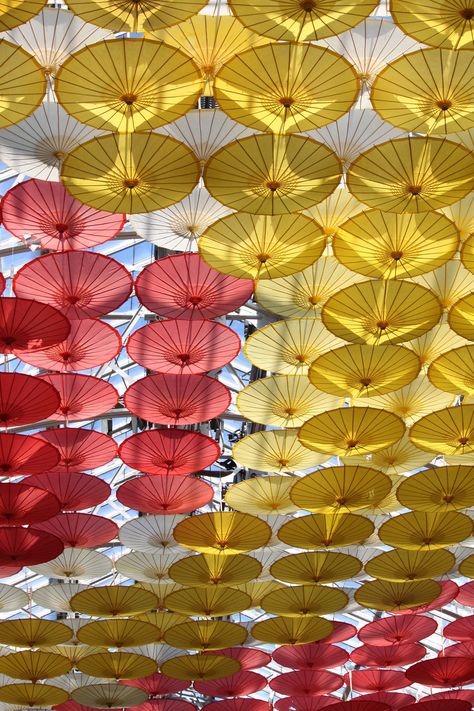 umbrella ceiling Hanging Umbrellas From Ceiling, Umbrella Ceiling, Farmers Market Wedding, Chinese Umbrella, Hanging Upside Down, Yellow Umbrella, Red Umbrella, Walking Street, Wedding Marketing