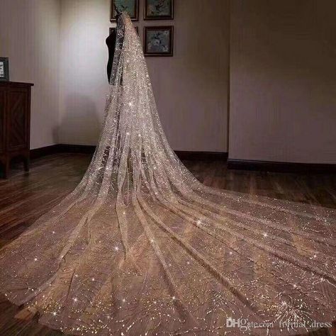 Sparkly Bling Bling Bridal Wedding Veils Bridal Veils Long Cathedral Length Sequined Beads Bride Veil With Free Comb Cheap Bridal Veils Online Costume Bridal Veil From Lindaxu90, $49.89| DHgate.Com Korean Bride, Beaded Wedding Veils, Gold Glitter Wedding, Long Veil Wedding, Gold Wedding Dress, Bride Veil, Wedding Bridal Veils, Chapel Veil, Long Veil