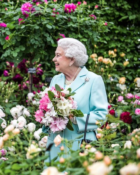 Platinum Jubilee, David Austin Roses, House Of Windsor, Queen Of England, David Austin, Her Majesty The Queen, Prince Philip, King George, Queen Victoria