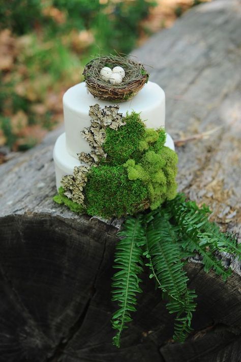 rustic greenery wedding cake Wedding Cake Forest, Woodland Wedding Cake, Fern Wedding, Enchanted Forest Wedding, Themed Wedding Cakes, Forest Cake, Wedding Cake Rustic, Wedding Cake Ideas, Woodland Wedding