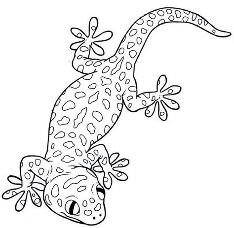 House Gecko Coloring Page Reptile Coloring Pages Free Printable, Lizard Coloring Pages Free Printable, Gecko Coloring Page, Lizard Coloring Pages, Gecko Drawing, Spotted Gecko, House Gecko, Cartoon Lizard, Lizard Tattoo