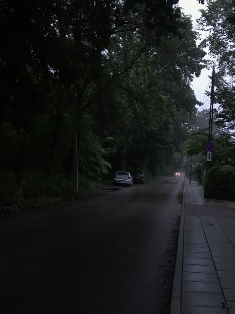 Slowcore Aesthetic, Dark Street Aesthetic, Aesthetic Peace, Dark Naturalism, Dark Forest Aesthetic, Street Aesthetic, Rainy Day Aesthetic, Foggy Day, I Love Rain