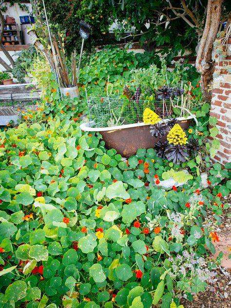 Lazy Gardening: 11 Time-Saving Tips for Getting More Out of Your Garden By Doing Less 5 Lazy Gardening Ideas, Lazy Gardening, Garden Corner Ideas, Sophisticated Garden, Garden Organization, Elegant Bedroom Decor, Garden Corner, Corner Ideas, Dig Gardens