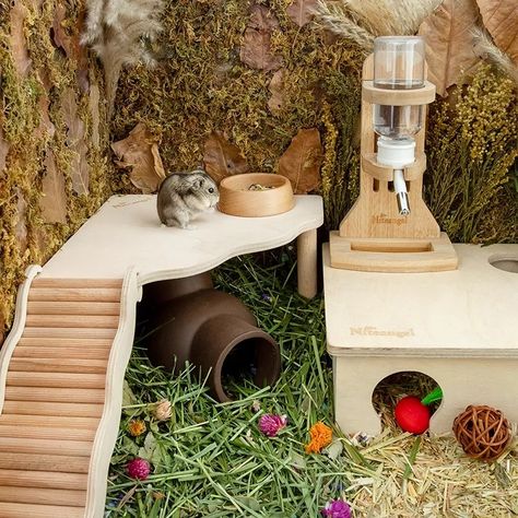 Teddy Bear Hamster Cage Ideas, Diy Hamster Hideout, Hamster Cage Ideas, Kandang Hamster, Hamster Platform, Hamster Diy Cage, Bear Hamster, Gerbil Cages, Triangle Wave