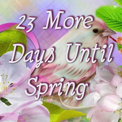 23 More Days Until Spring spring countdown Days Until Spring, Spring Pictures, Tumblr Image, Spring Photos, Social Networking Sites, Personal Website, Facebook Image, Inspirational Pictures, Pictures Images