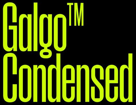 Galgo Condensed Font Free Condensed Font, Bold Modern Font, Condensed Typography, Condensed Typeface, Condensed Fonts, Best Calligraphy Fonts, Tall Font, Tech Brand, 2023 Party