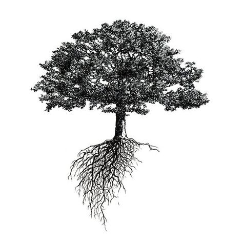 A Tree Grows In Brooklyn, Tree Roots Tattoo, Roots Tattoo, Oak Tree Tattoo, Tree Grows In Brooklyn, Tiny Tree, Family Tree Tattoo, Tatoo Inspiration, Tree Tattoo Designs