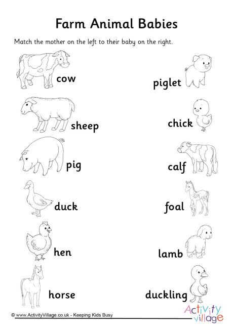 Farm Animal Babies Matchup Worksheet Farm Animals Worksheets For Grade 1, Ukg Evs Worksheets, Farm Animal Worksheet, Baby Animals Activities, Farm Animals Worksheet, Farm Animals Preschool, Mother And Baby Animals, Animals Activities, Farm Animals Activities