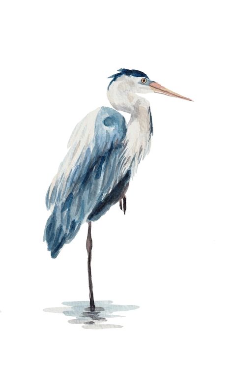 Great Blue Heron Bird Prints Coastal Art Audubon Watercolor - Etsy Heron Art Paintings, Blue Heron Sketch, Ink Watercolor Art, Water Colour Birds, Blue Heron Art, Heron Watercolor, Heron Illustration, Coastal Watercolor, Painting Methods