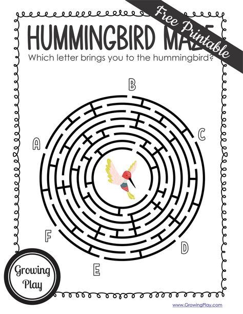 Keep reading Hummingbird Facts for Kids to find out. BONUS: Download two FREE Hummingbird printables at the bottom of the blog post – a coloring page and a fun maze! Hummingbird Activities, Hummingbird Facts, Hummingbird Craft, Hummingbird Species, Maze Printable, Bee Hummingbird, Maze Worksheet, Fun Facts For Kids, A Coloring Page