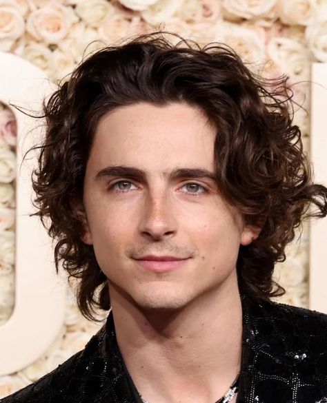 Timothee Chalamet at the 81st Golden Globes Awards January 7, 2024 : TimotheeChalametDaily Timothee Chalamet Golden Globes, Perfect Guy, Timmy T, Male Actors, January 7, Black Veil Brides, The Perfect Guy, Black Veil, Golden Globe Award