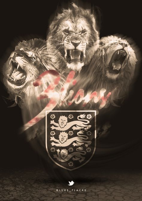 Euro 2016 is here. England start their campaign tomorrow's Hoping it's a good campaign for the three lions. England Three Lions, England Lions, Lion Tattoos, Three Lions, Lion Wallpaper, Euro 2016, England Football, Animal Posters, Lion Tattoo